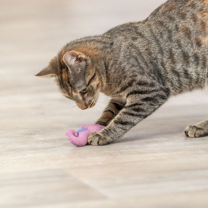 Trixie Katzenspielzeug Seepferdchen